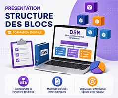DSN structure des blocs